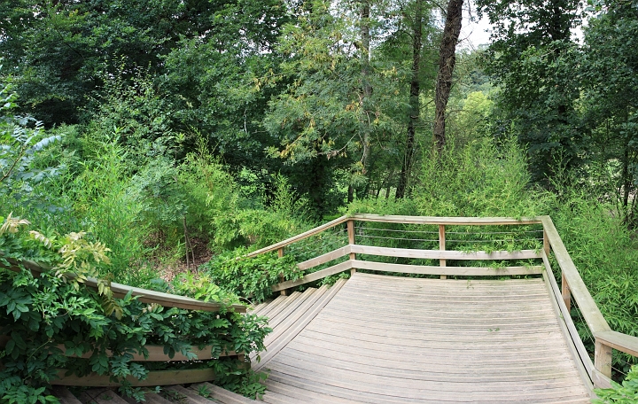 [1] pano, 100CANON, 4 images, IMG_2719 - IMG_2722 - 3977x2522 - SCUL-Smartblend.jpg - toujours bois et verdure